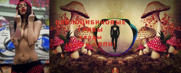 амф Белоозёрский