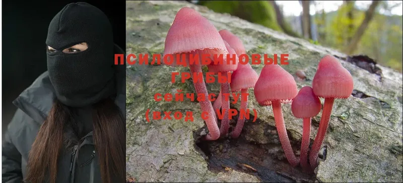 Галлюциногенные грибы MAGIC MUSHROOMS Бирюсинск