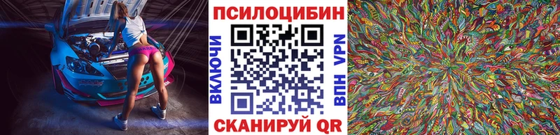 что такое   Бирюсинск  Псилоцибиновые грибы Psilocybe 