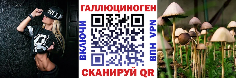 Псилоцибиновые грибы ЛСД Бирюсинск